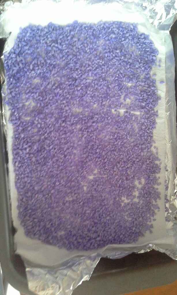 A -19 gli ultimi fai da te .. - 1