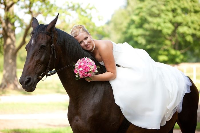 Tema cavallo - Organizzazione matrimonio - Forum Matrimonio.com