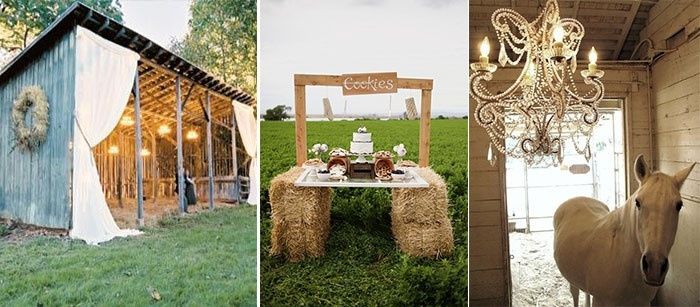 Location tema cavallo al maneggio