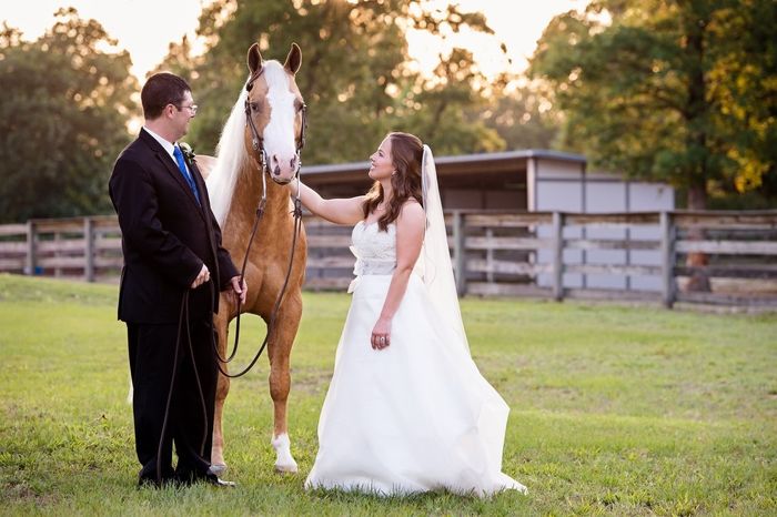 Una bella giornata per tutta la famiglia