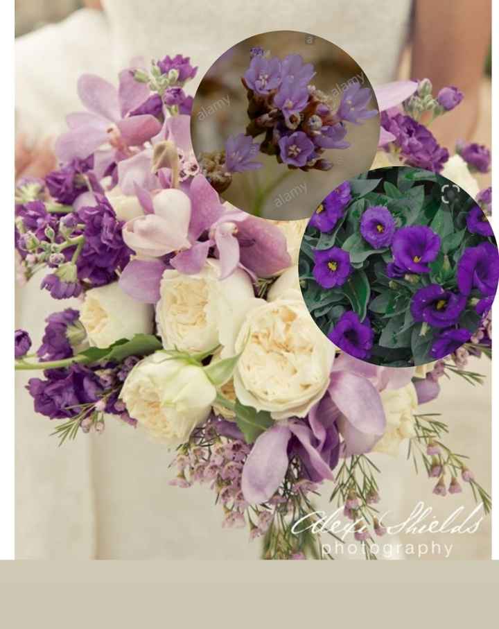 In crisi per il Bouquet - 2