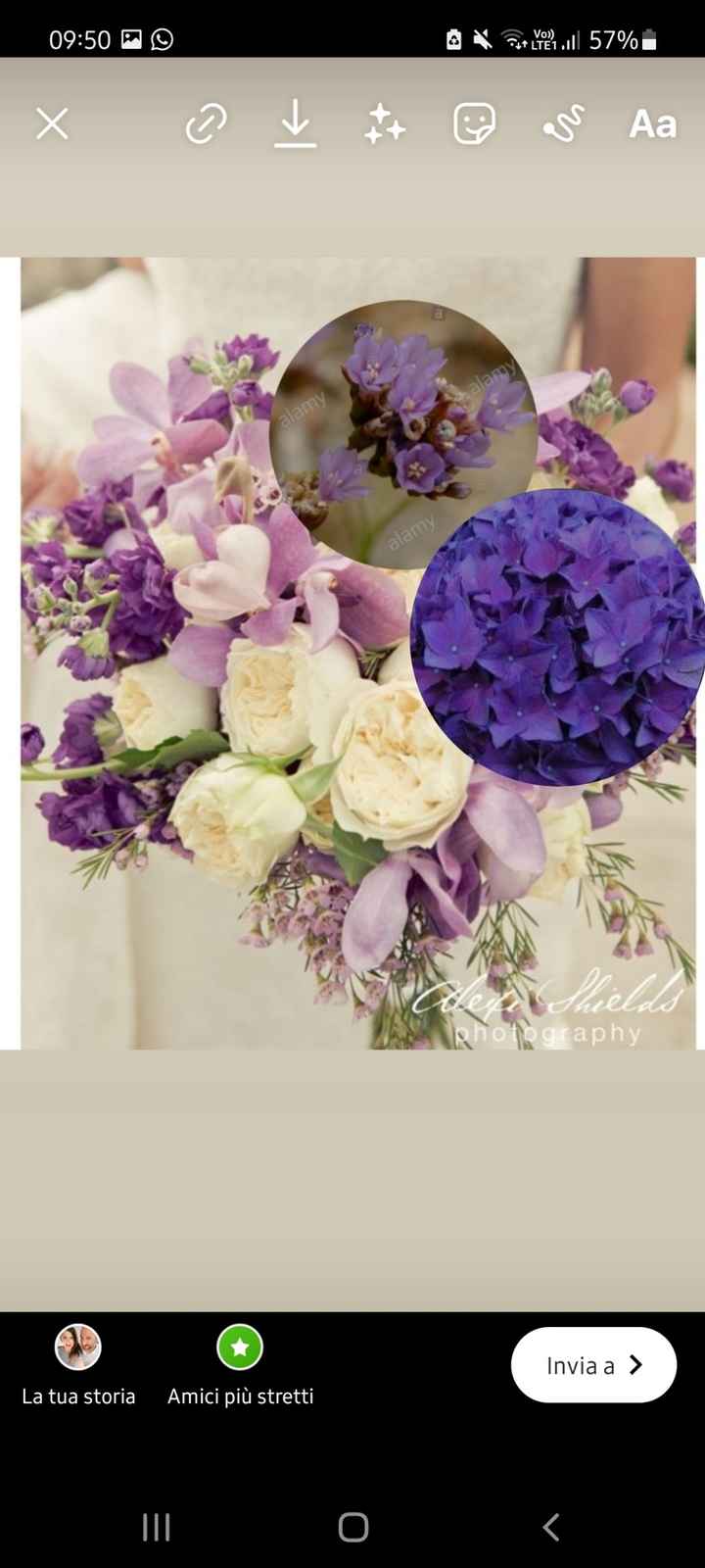 In crisi per il Bouquet - 3