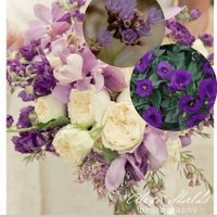 In crisi per il Bouquet - 2