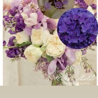 In crisi per il Bouquet - 3