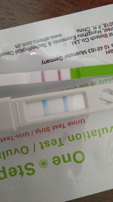 Test ovulazione clearblue quali acquistare? - 2