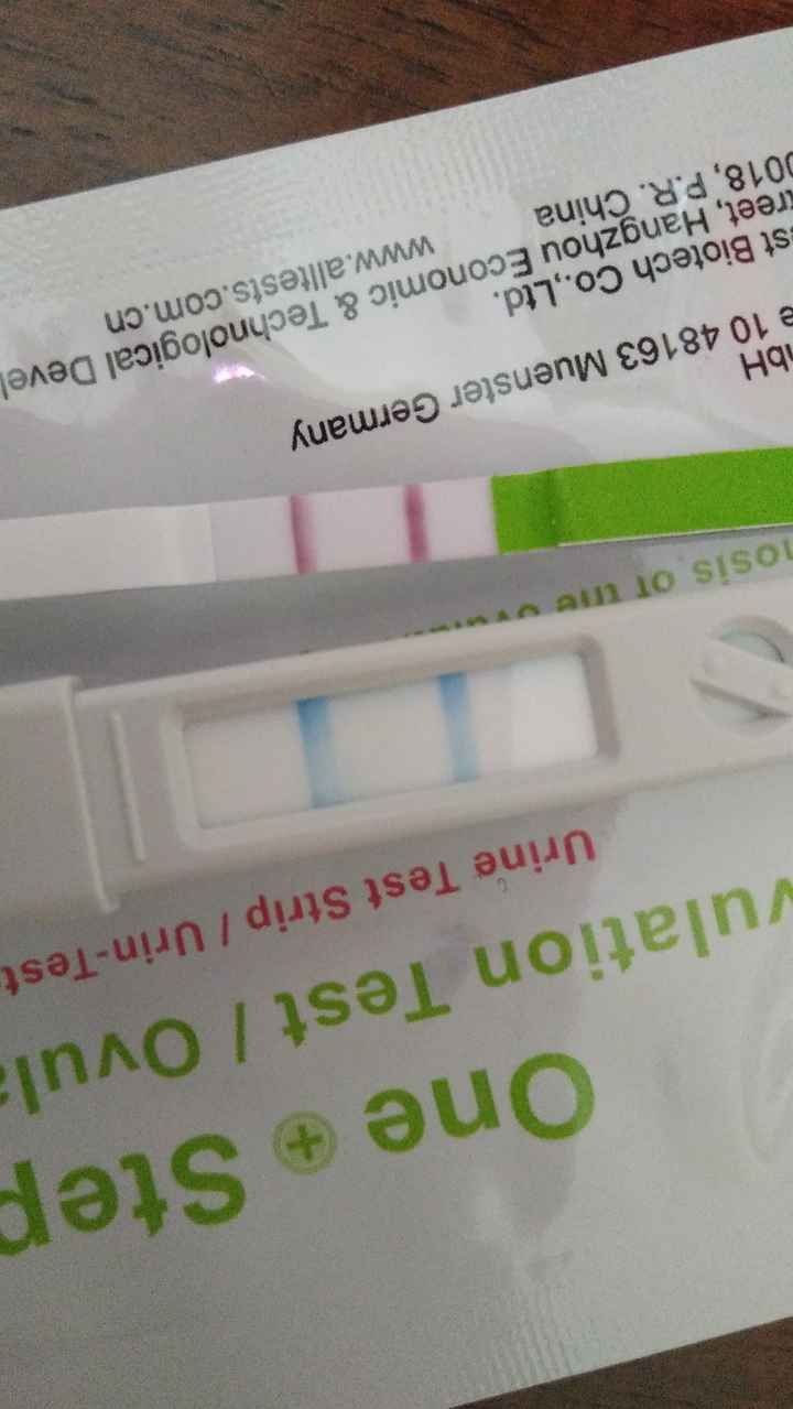 Test ovulazione clearblue quali acquistare? - 2