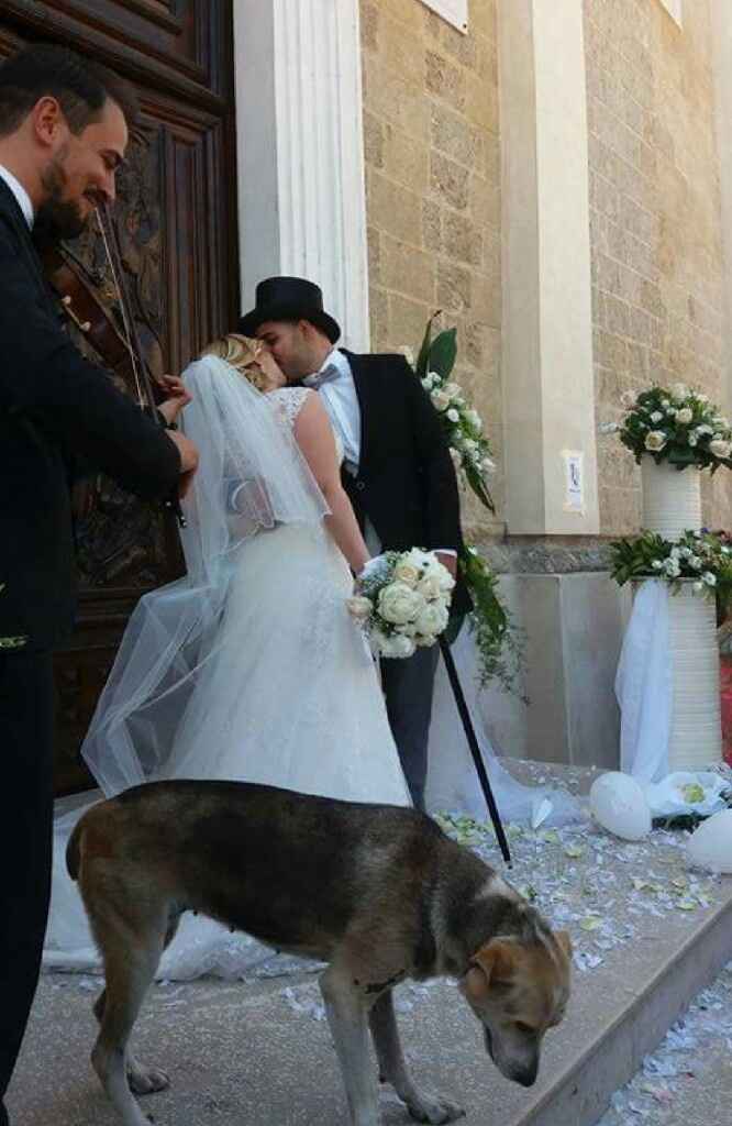 Il nostro 22 luglio 2016 - 4