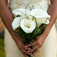 Sposine dell ' 11 Settembre !!! -4mesi😄 - 1