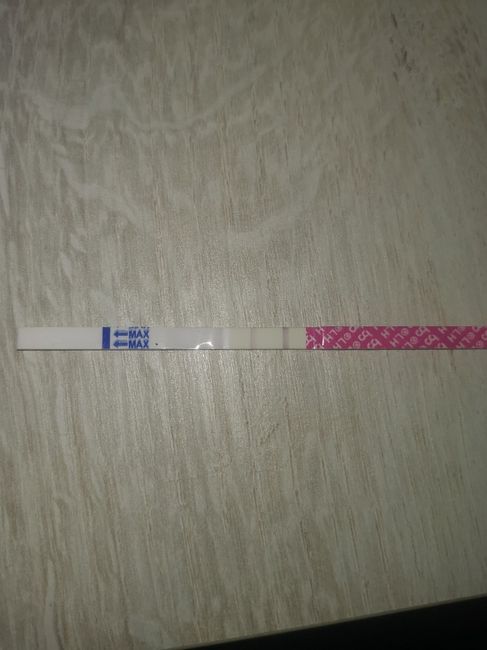 Test femometer gravidanza - 1
