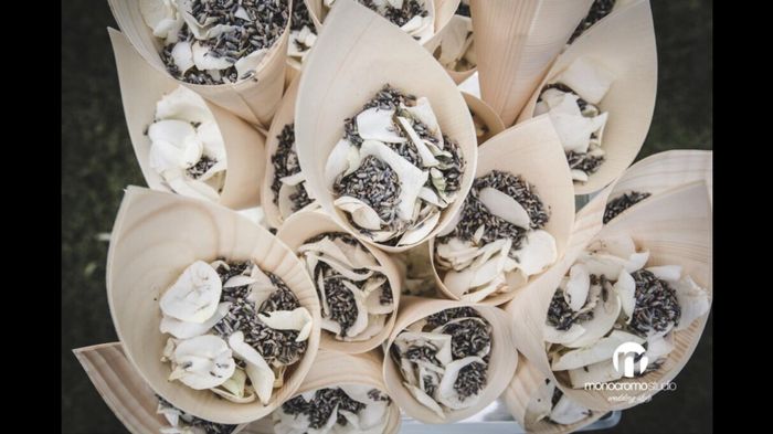 Alternative al riso? - 1