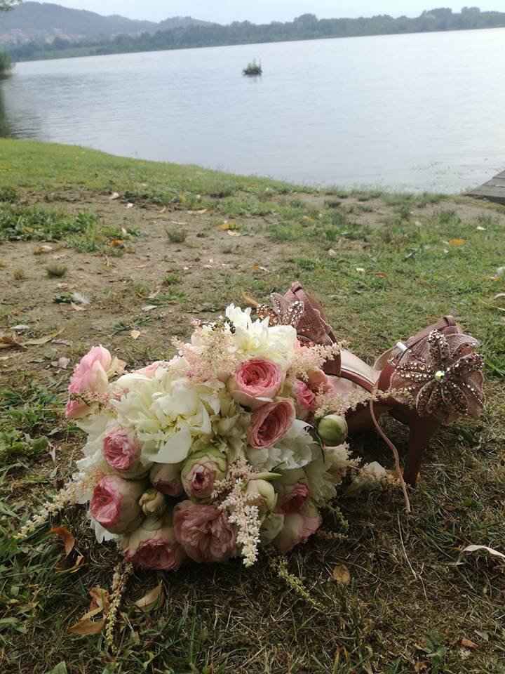Peonie, che passione  💕 - 1