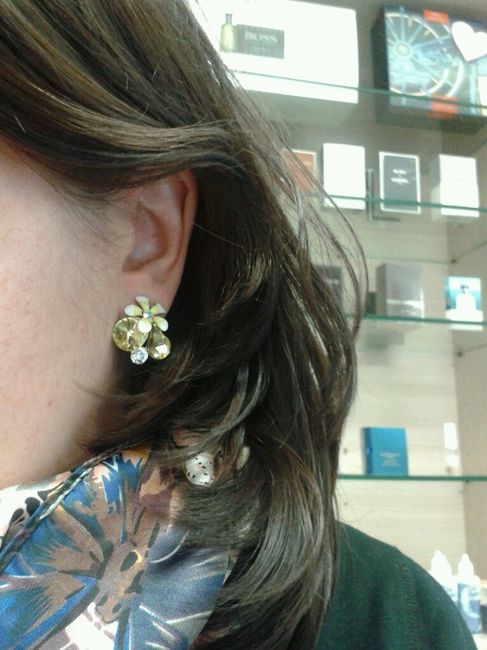 Parere orecchini - 1