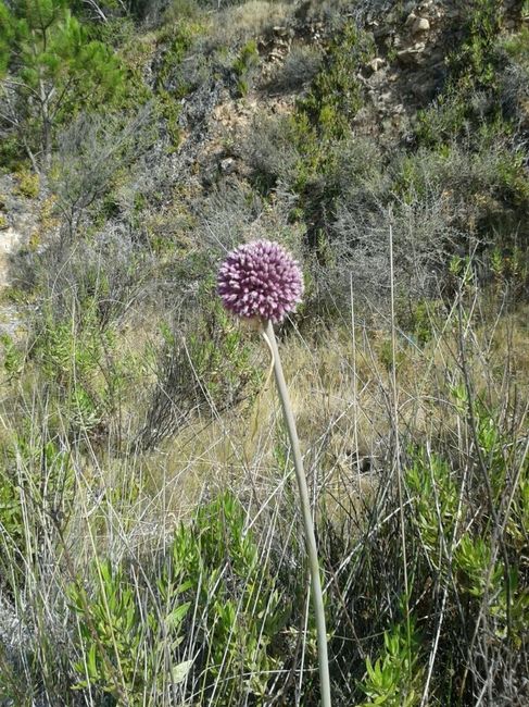 La mia piccola luna di miele - 10