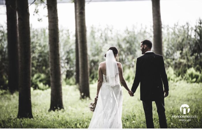 Acconciatura con velo - 1