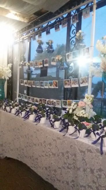 Piantina come "bomboniera"??? - 1