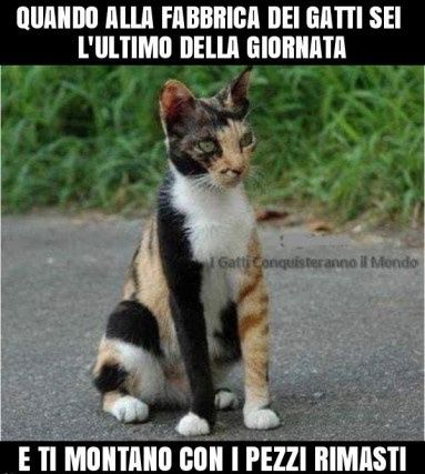 Bomboniere brutte ed inutili ? - 1