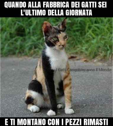 Bomboniere brutte ed inutili ? - 1