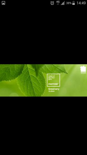 Pantone greenery colore tendenza 2017..confrontiamoci!!! - 8