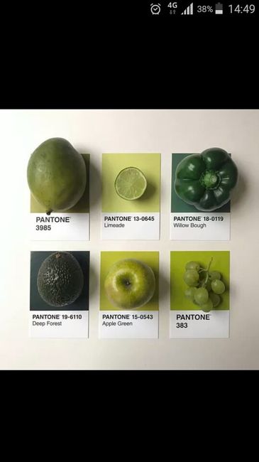 Pantone greenery colore tendenza 2017..confrontiamoci!!! - 9