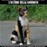 Bomboniere brutte ed inutili ? - 1