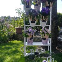 Allestimento cassette di legno - 1