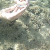 ....la mia proposta... - 2