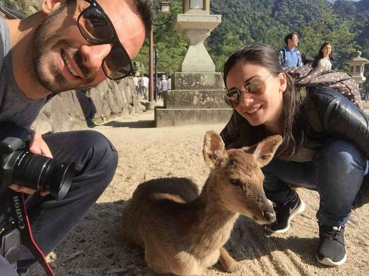 Tour giappone "fai da te" - 7