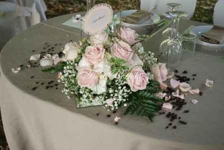 Rosa, bianco e caffè