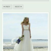 Vi va di dirci il nome del vostro abito da sposa? - 1