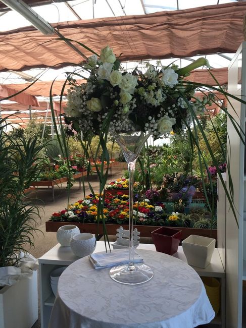 È normale secondo voi?? fiori.. - 1