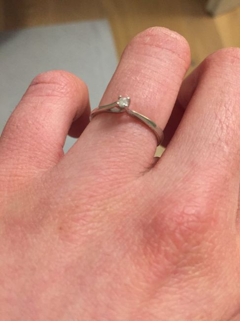 Mi fate vedere il vostro anello della proposta?? 25