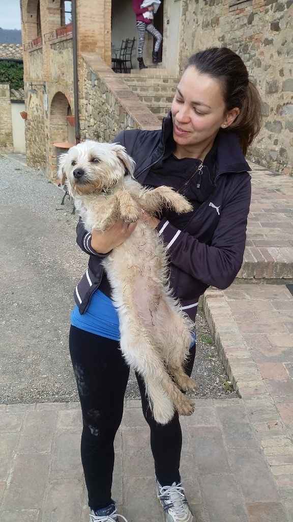 Tommy ... porta fedi pesti feto! !!