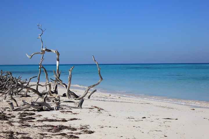 Mare  Vinale