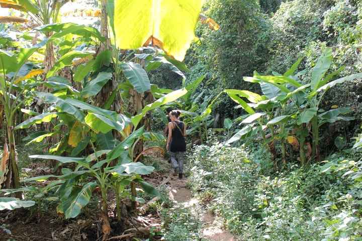 selva y cuevas