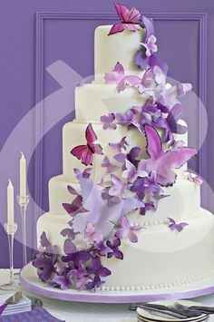 farfalle 2
