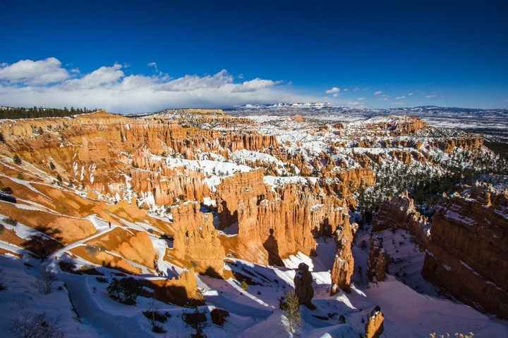 Bryce & Snow