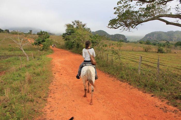 Vinales a cavallo
