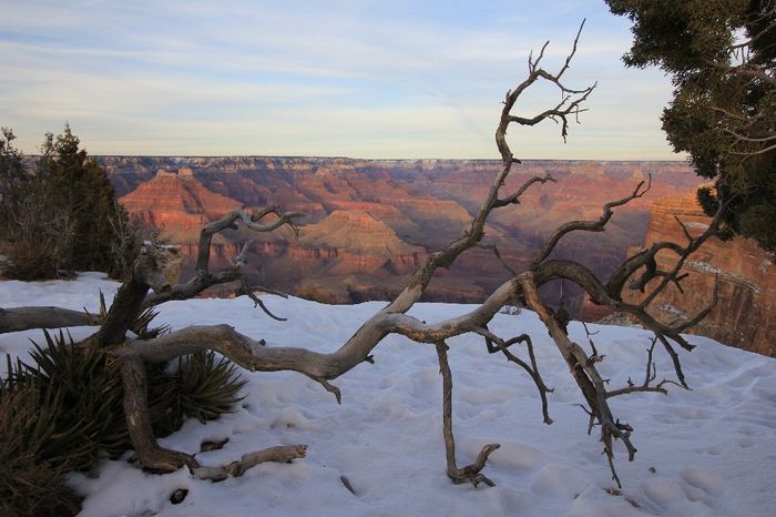 Grand canyon Sunset