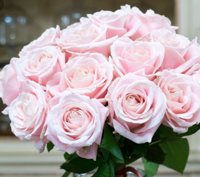 Help!!!!! Tema: Fiori!!!!!! 🌸🌸🌸 - 2