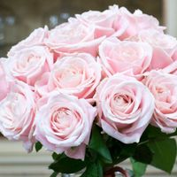 Help!!!!! Tema: Fiori!!!!!! 🌸🌸🌸 - 2
