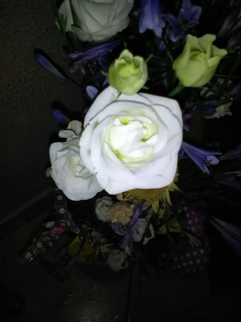 Sapete che fiore é? - 2