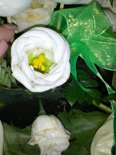 Sapete che fiore é? - 3