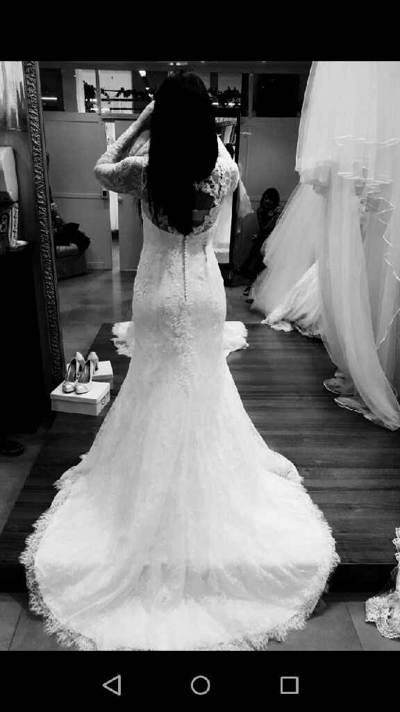 Monica loretti 2017 - 3