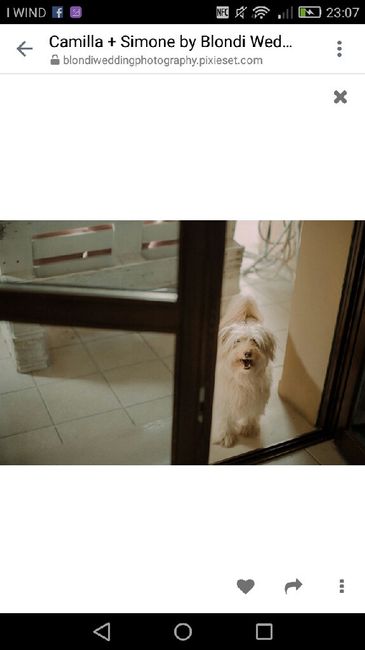 Foto pre matrimoniali ... - 7