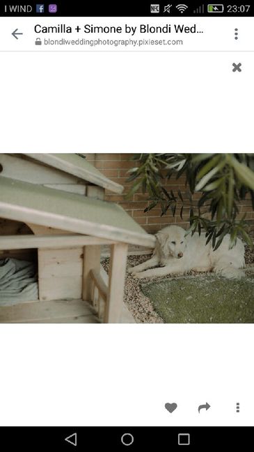 Foto pre matrimoniali ... - 8