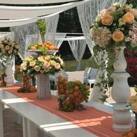 Felicemente sposata - 1