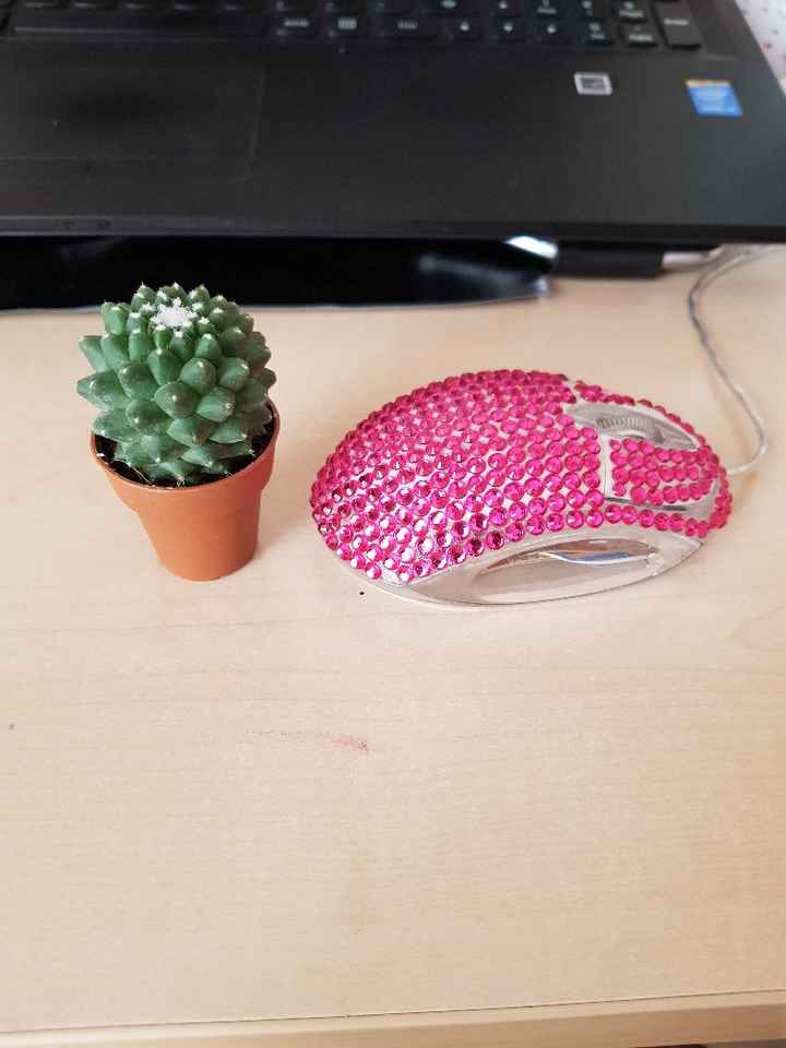 Segnaposto piantina, che ne pensate? - 1