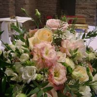 sfumature lisianthus