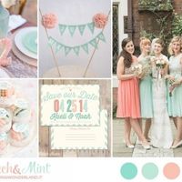 Palette Pesca e verde