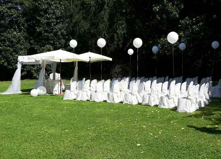 Dario di un wedding planner (enzo miccio) - 1
